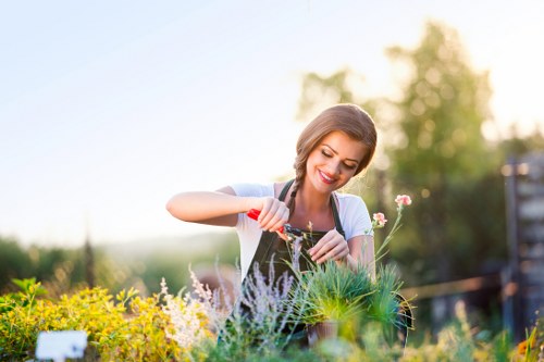 Gardener inspecting a garden, clipboard in hand