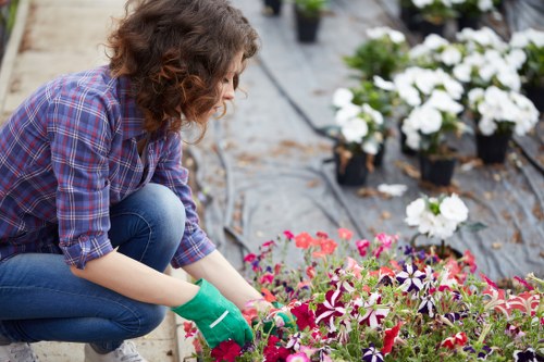 Collections of segregated garden and food waste at community green space