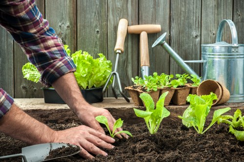 Gardener working in a Greenwich garden with tools