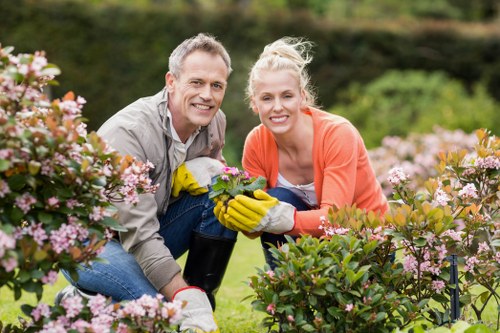 Man and van removing green waste from a suburban garden
